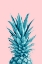 Picture of PINEAPPLE PINK 07