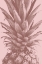 Picture of PINEAPPLE CLOSE UP 01