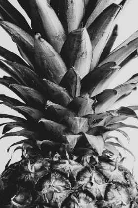 Picture of PINEAPPLE CLOSE UP 02