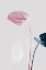 Picture of MONSTERA CREATIVE 24