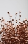 Picture of DRIED GRASS COPPER 01