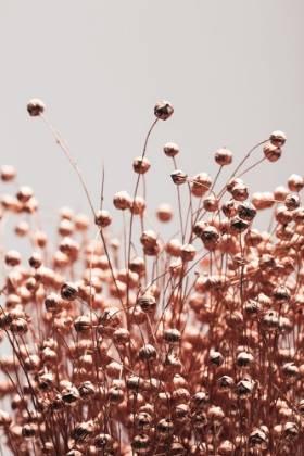 Picture of DRIED GRASS COPPER 05