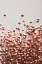 Picture of DRIED GRASS COPPER 05