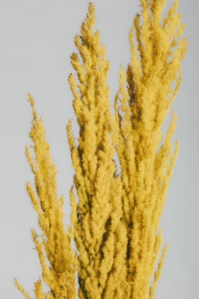 Picture of YELLOW GRASS CLOSE