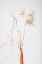 Picture of DRIED GRASS TERRACOTTA