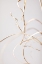 Picture of DRIED GRASS GREY 02