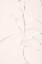 Picture of DRIED GRASS LIGHT BEIGE 02