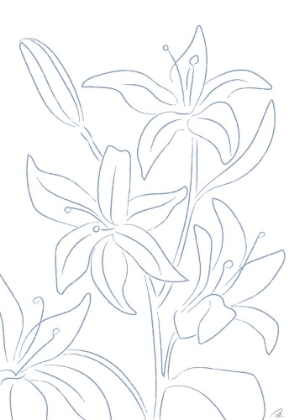 Picture of LILLIES NO 01