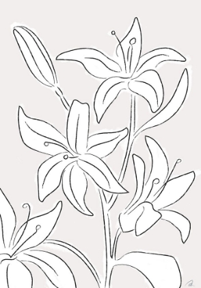 Picture of LILLIES NO 03