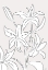 Picture of LILLIES NO 03