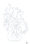 Picture of FLOWER BOUQUET SKETCH