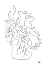 Picture of FLOWER BOUQUET WHITE