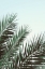 Picture of PALM LEAVES-SKY_1