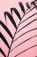 Picture of GRAPHIC PALM LEAF_2