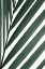 Picture of GRAPHIC PALM LEAF_3