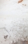 Picture of CORRUGATED IRON WALL-WHITE