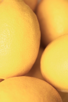 Picture of LEMONS_2