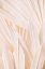 Picture of PATTERN_2