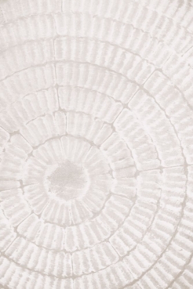 Picture of PATTERN_PLATE_1