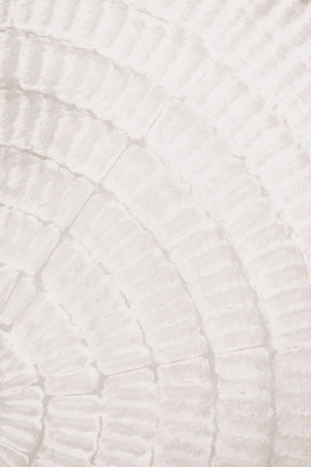 Picture of PATTERN PLATE_BEIGE_2