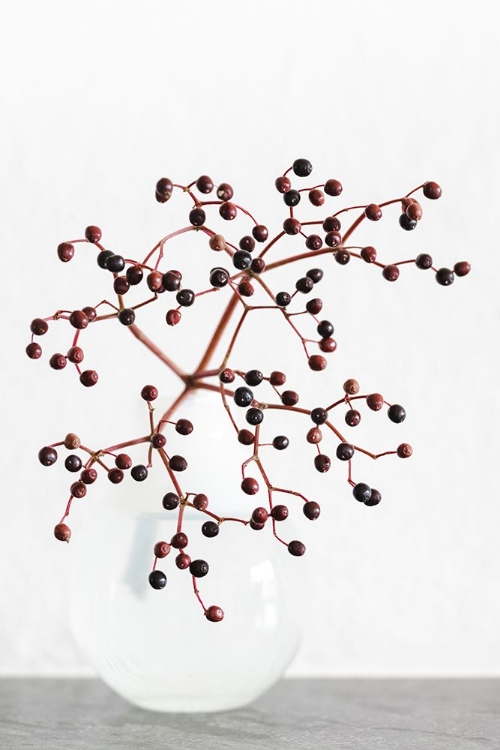 Picture of VASE_BERRIES