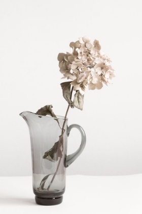 Picture of DRIED FLOWER IN JUG_BEIGE