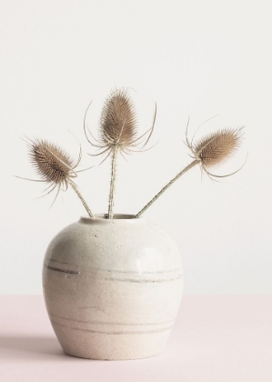 Picture of DRIED FLOWERS IN VASE