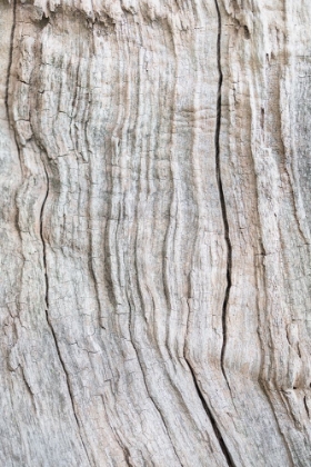 Picture of WOOD PATTERN