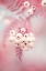Picture of BERRIES ON A TWIG NO2