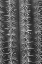Picture of CACTUS BLACK AND WHITE