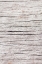 Picture of WOOD CLOSE UP