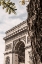 Picture of ARC DE TRIOMPHE PARIS