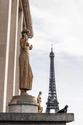 Picture of EIFFEL TOWER PARIS