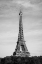Picture of EIFFEL TOWER - TOUR EIFFEL