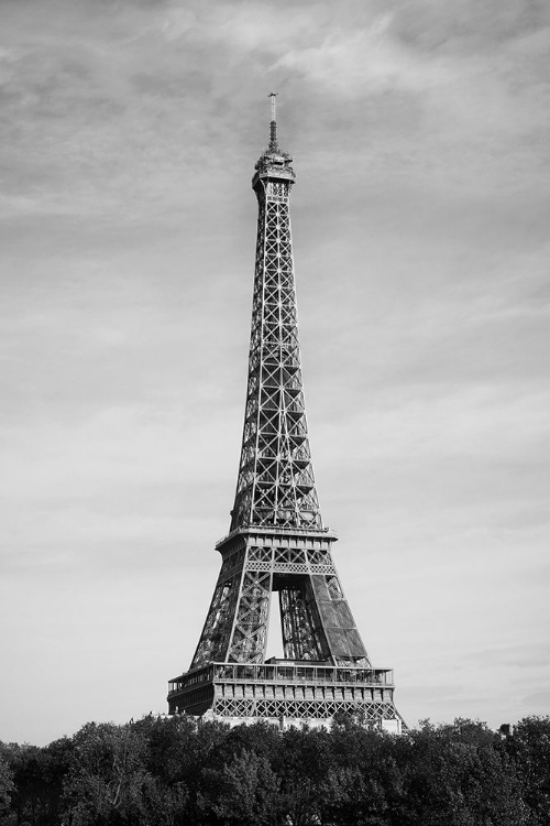 Picture of EIFFEL TOWER - TOUR EIFFEL