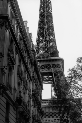 Picture of TOUR EIFFEL - EIFFEL TOWER