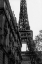 Picture of TOUR EIFFEL - EIFFEL TOWER