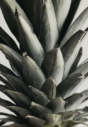 Picture of PINEAPPLE CLOSE UP