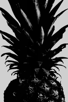Picture of PINEAPPLE BW