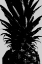 Picture of PINEAPPLE BW