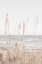 Picture of BEACH_VASS_001