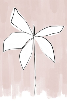 Picture of BORDERED FLOWER