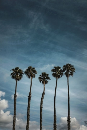 Picture of FIVE PALMS