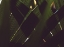 Picture of PALM TEXTURES