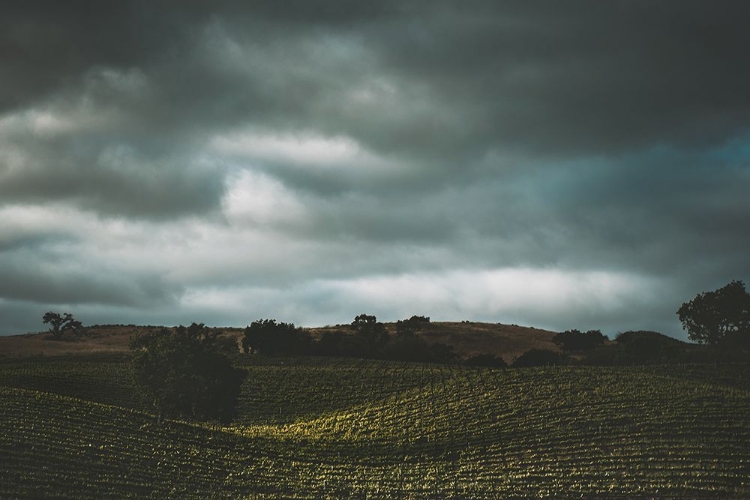 Picture of HILLSIDE AND CLOUDS