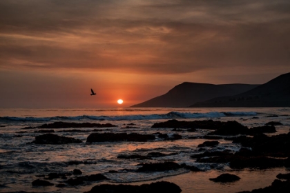 Picture of ORANGE SUNSET