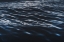 Picture of WATER TEXTURES