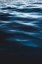 Picture of WATER TEXTURES