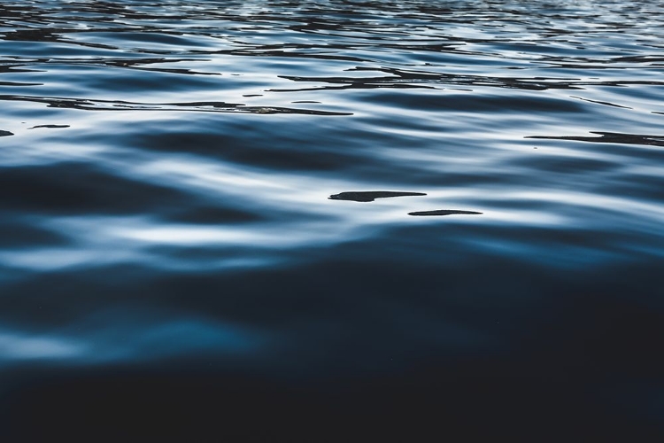 Picture of WATER TEXTURES