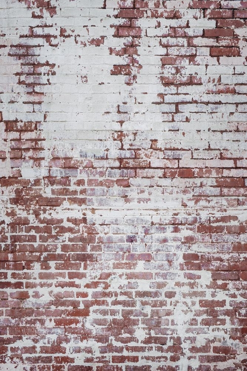 Picture of BRICK WALL